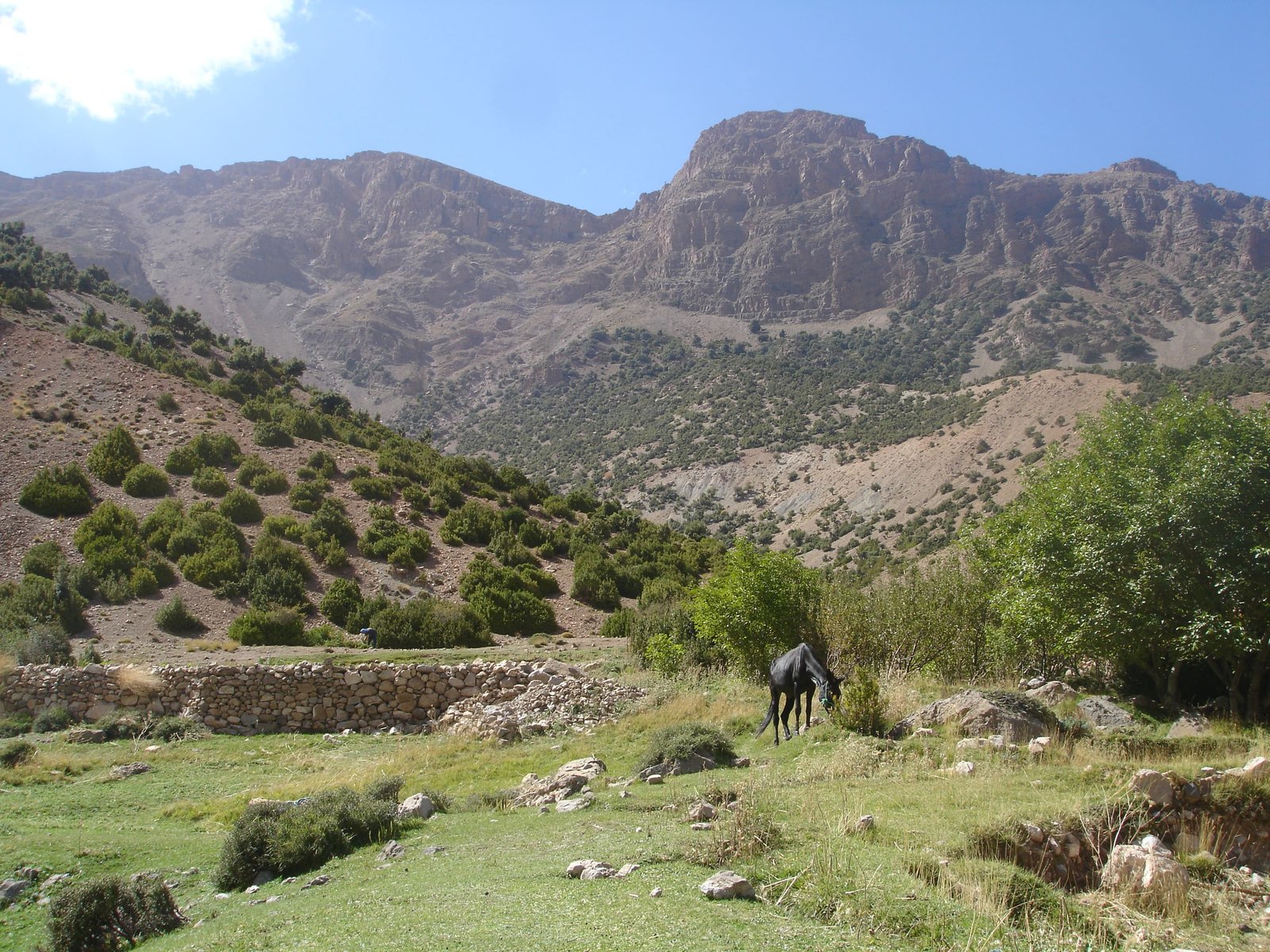 Vallée d'Arous