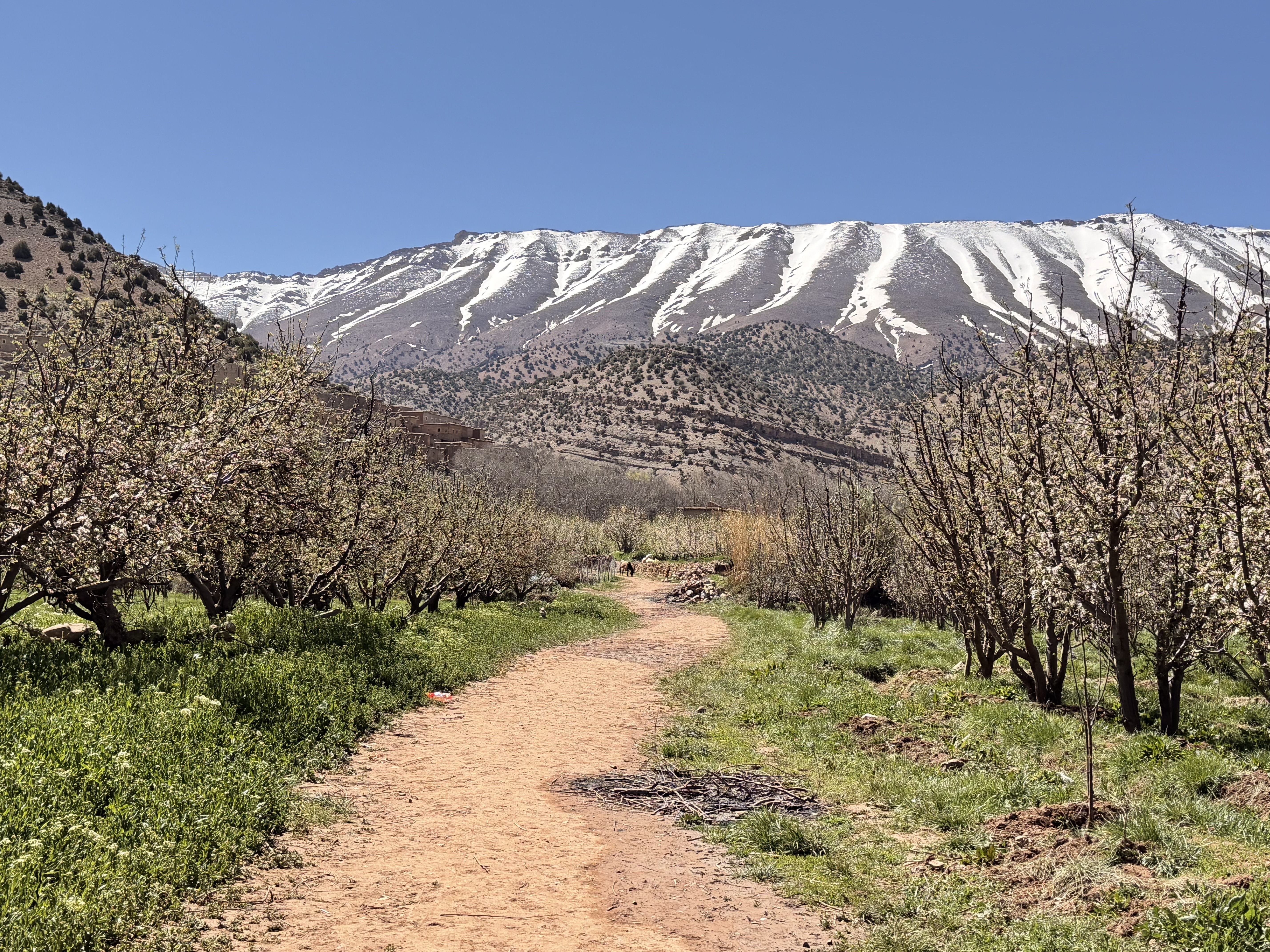 Wanderweg mit M'Goun Schnee im Aït Bougmez Tal